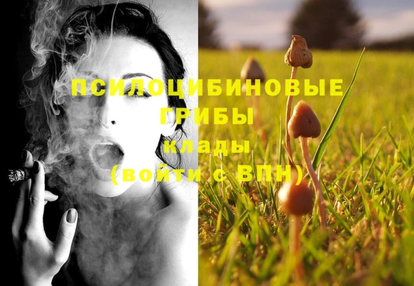 амф Гусиноозёрск