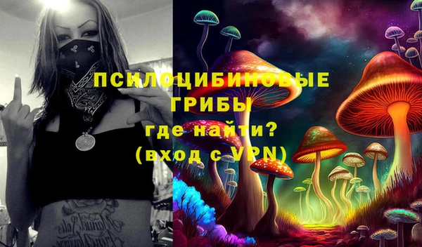 синтетический гашиш Гусь-Хрустальный