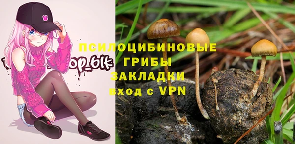 COCAINE Гусев