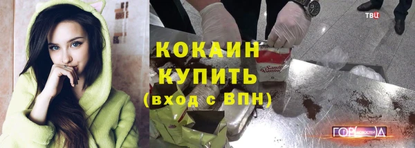 амф Гусиноозёрск