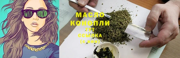 амф Гусиноозёрск