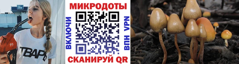 Псилоцибиновые грибы мухоморы  Долинск 